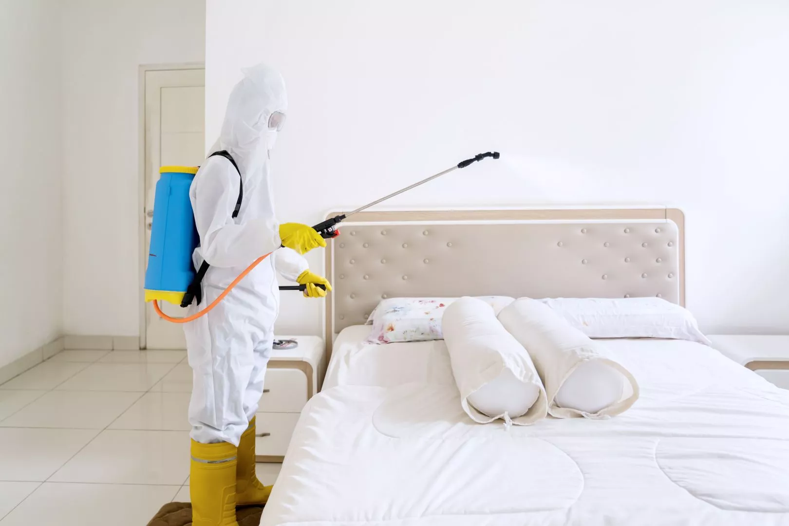 Domestic Pest Control Near Me Wakefield, Leeds, Halifax 